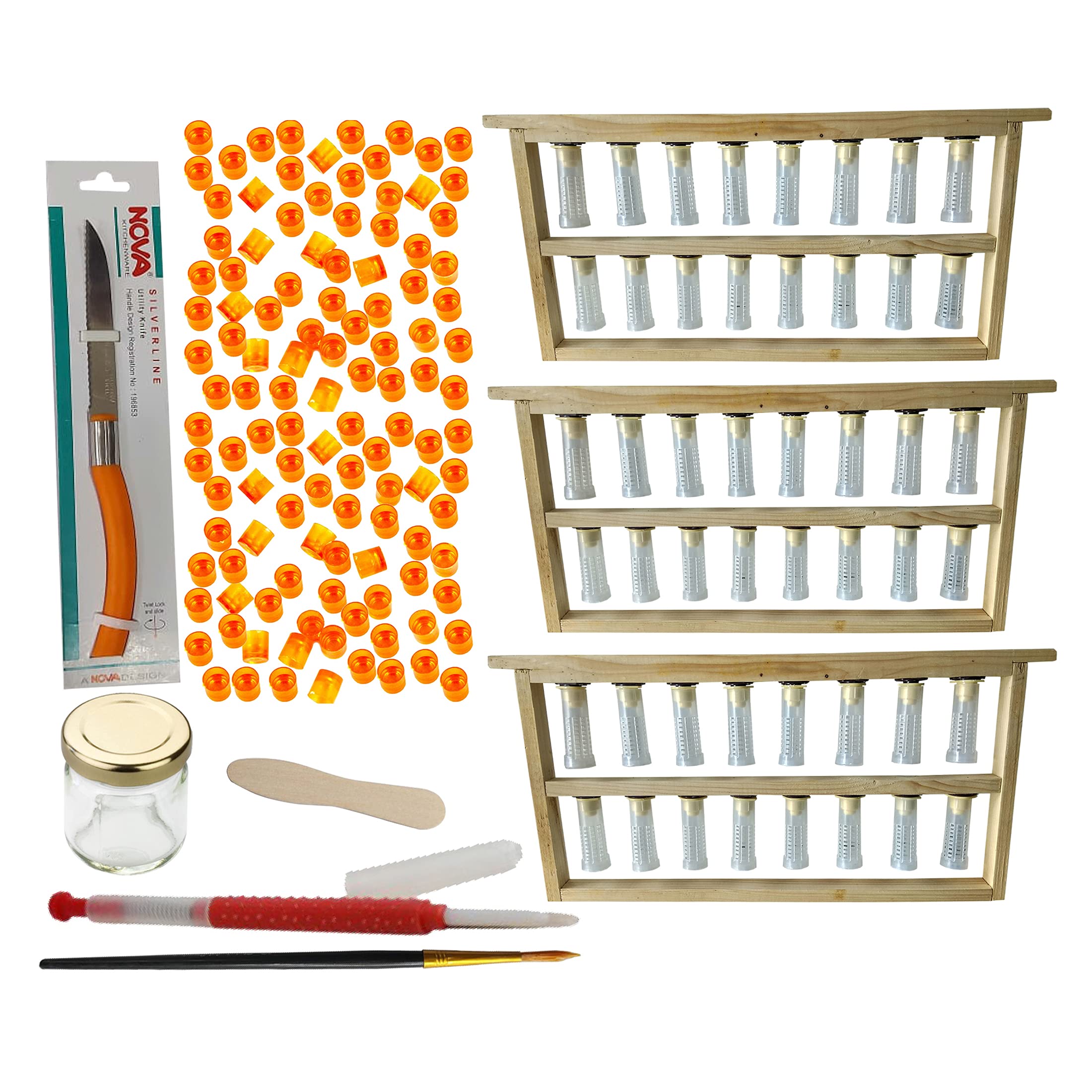 Beeshive Organic Grafting Frame (3 Pcs) with Grafting Needle (1 Pc), Queen Cell Cup (100 Pcs) & Other Accessories | Complete Queen Rearing Kit for Beekeepers